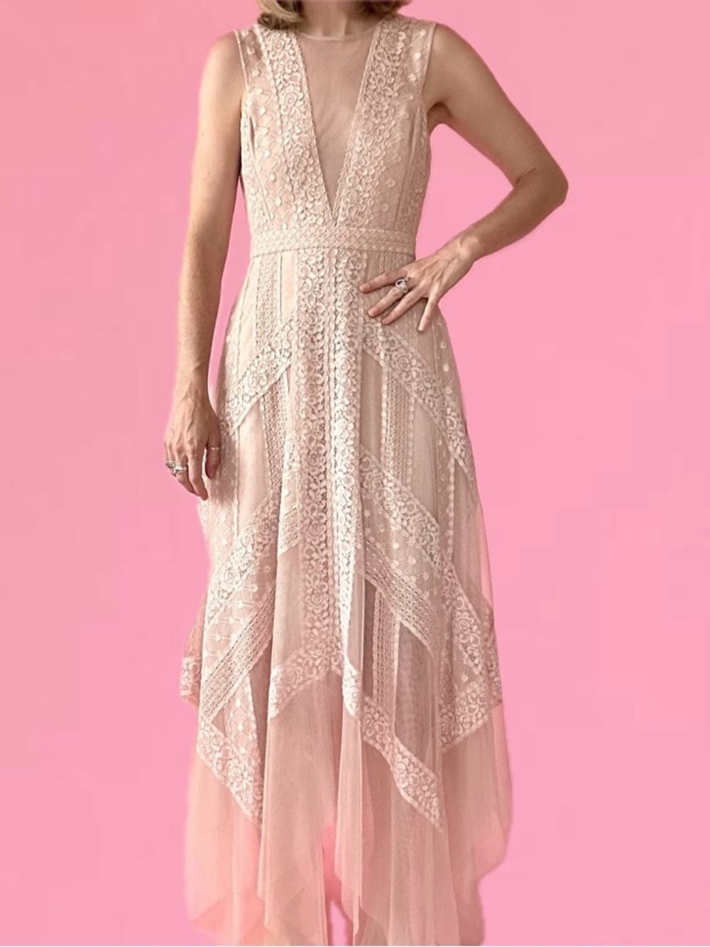 NWT BCBGMaxAzria Blush Lace Gown
